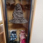 Pet clothing